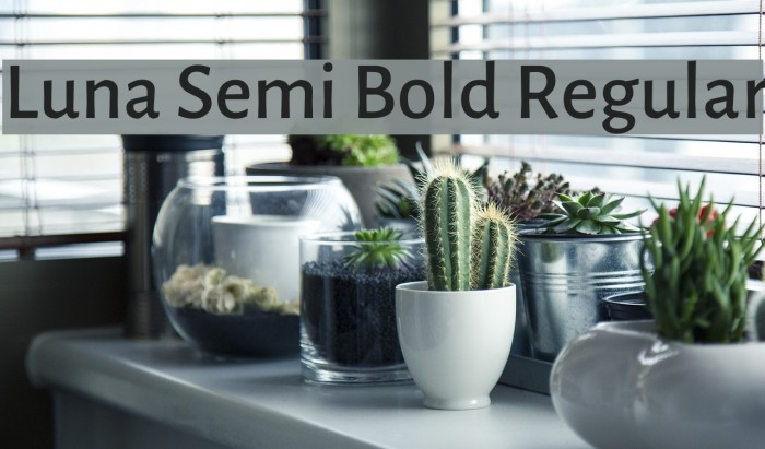 Luna Semi Bold Regular Font examples