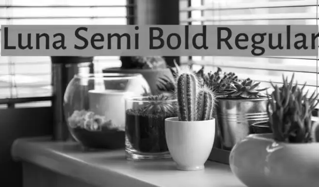 Luna Semi Bold Regular Example 2