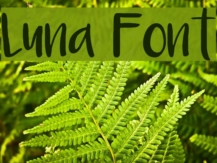 Luna Font examples