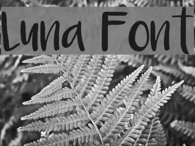 Luna Font examples