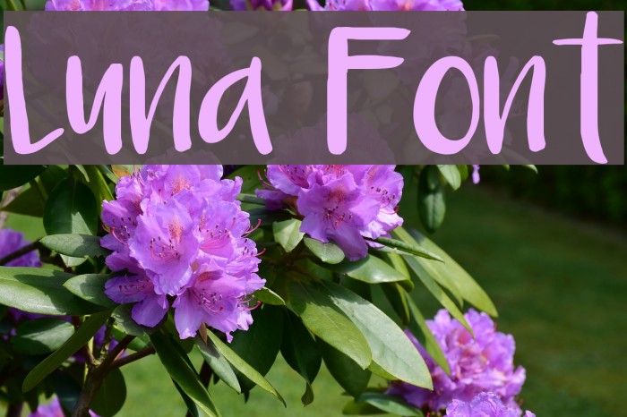 Luna Font examples