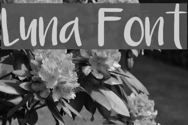 Luna Font examples