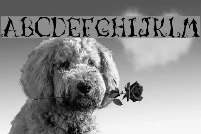 LunacyMore Font examples