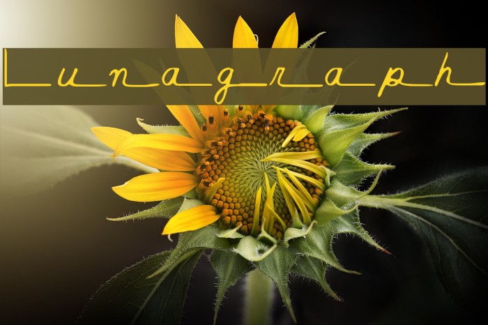 Lunagraph Font examples