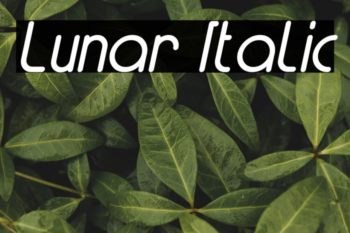 Lunar Italic Example 3