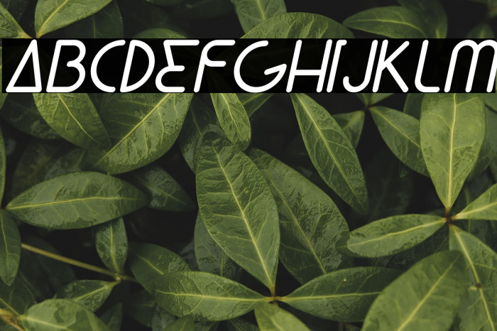 Lunar Italic Example 1