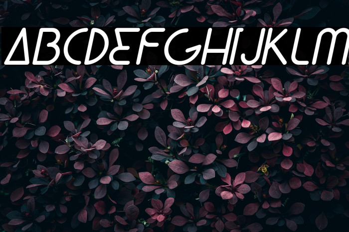 Lunar Italic Example 3