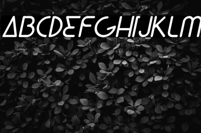 Lunar Italic Font examples