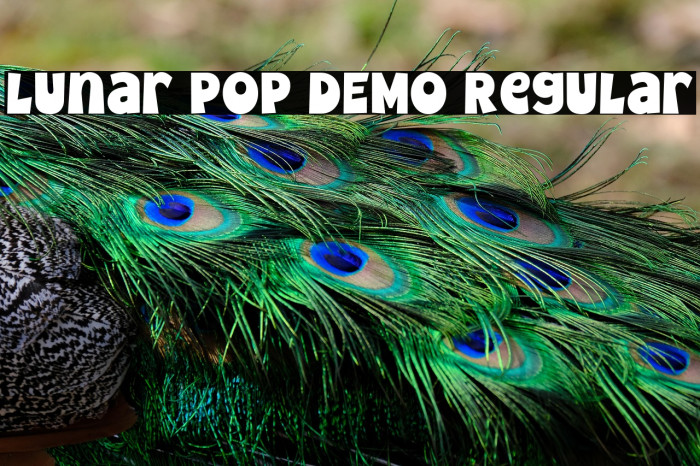 Lunar Pop DEMO Regular Example 3
