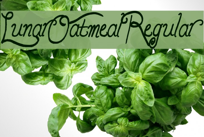 LunarOatmeal-Regular Example 1