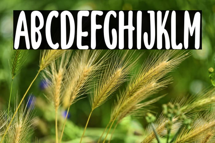 LunarieExtCond Example 1