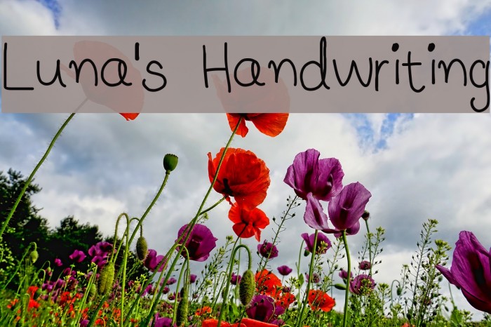 Luna's Handwriting Font examples