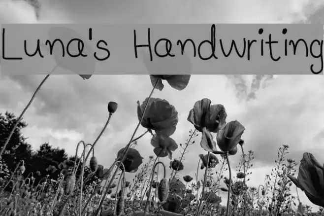 Luna's Handwriting Fuentes examples