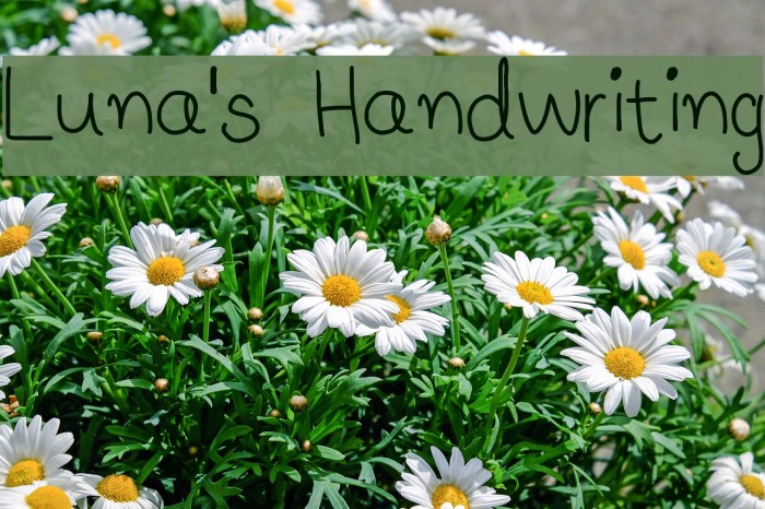 Luna's Handwriting Font examples