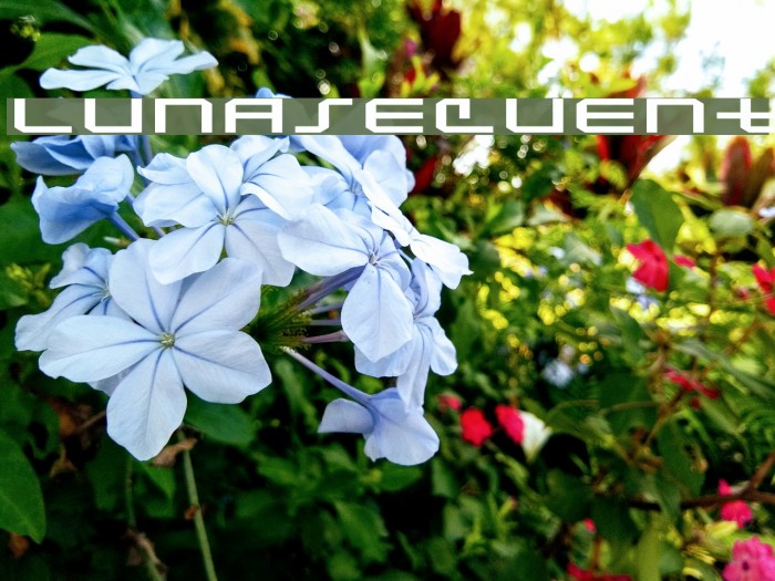 Lunasequent 字体 examples