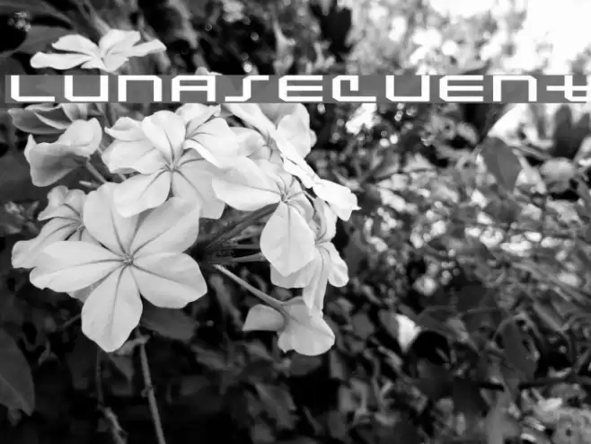 Lunasequent Font examples