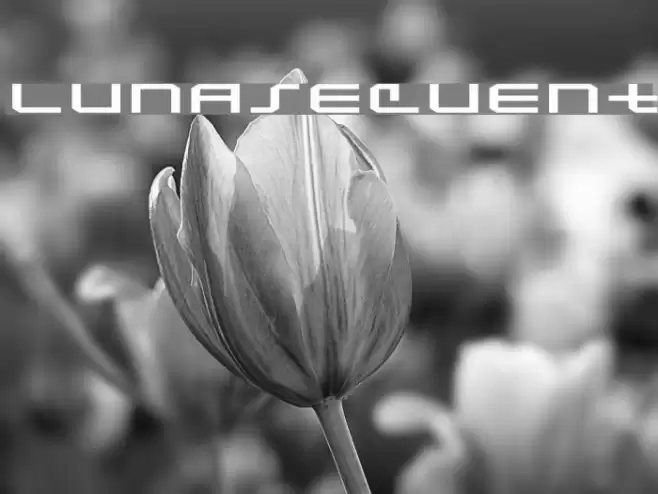 Lunasequent Font examples