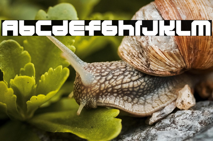 LunasolEclipse-Regular Example 1