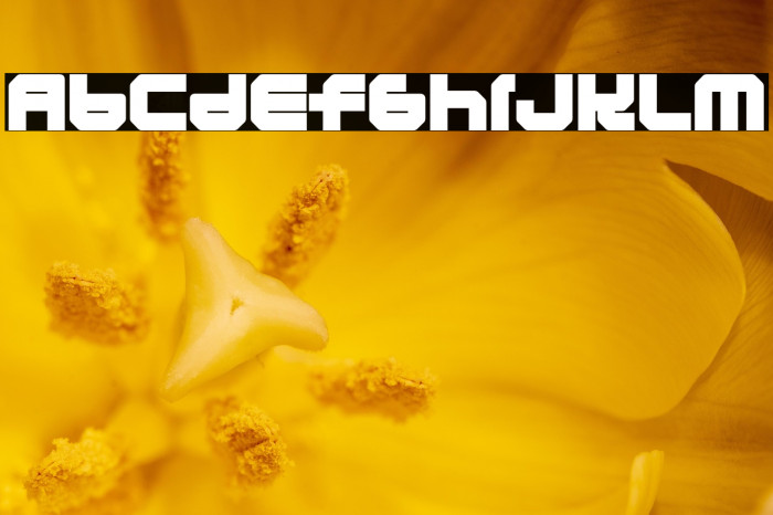 LunasolEclipse-Regular Example 2