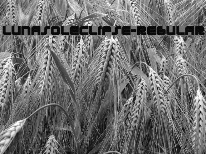 LunasolEclipse-Regular Font examples