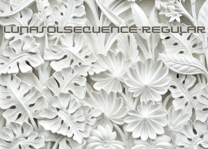 LunasolSequence-Regular Example 2