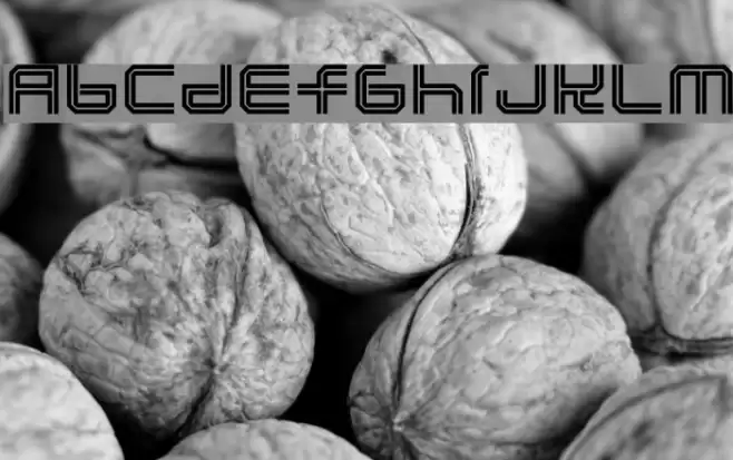 Lunasol Fonte examples