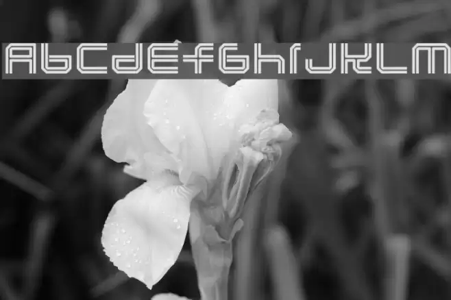 Lunasol Fonte examples