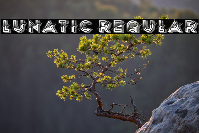 Lunatic Regular Example 2