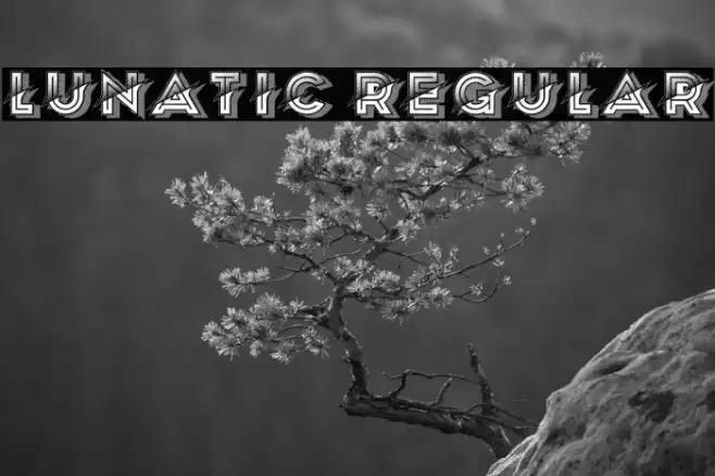 Lunatic Regular Font examples