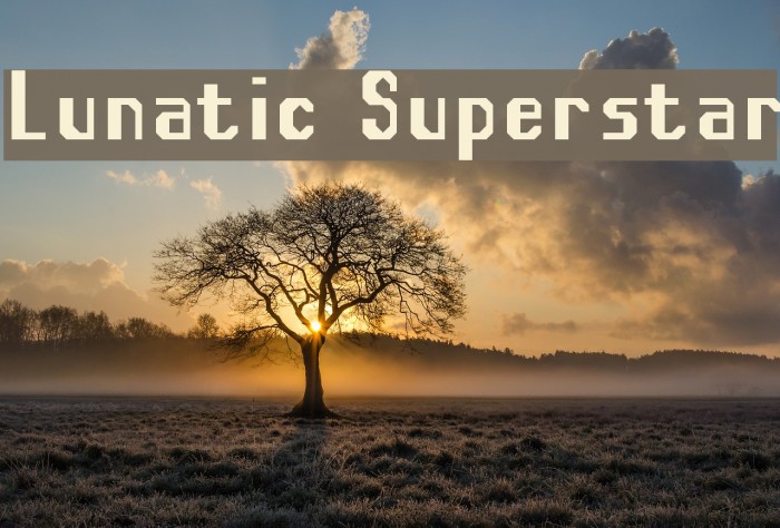 Lunatic Superstar Font examples