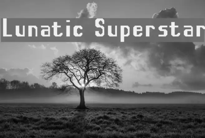 Lunatic Superstar Example 1