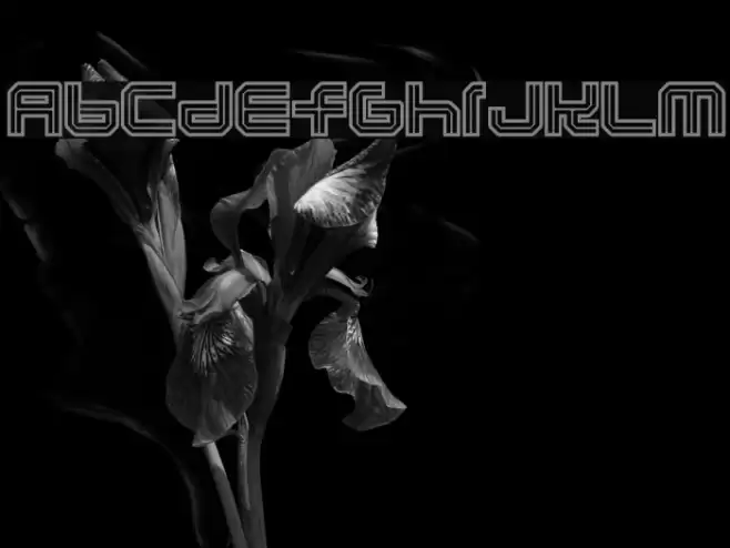 Lunaurora Font examples