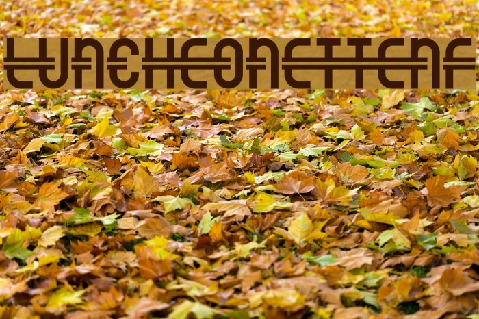 LuncheonetteNF Font examples