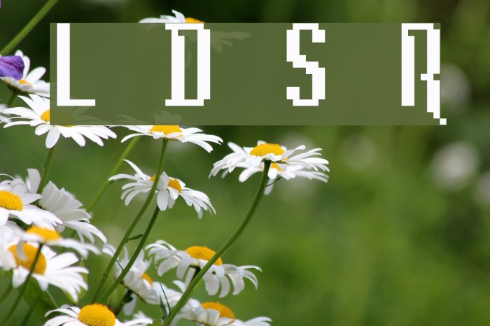 Lunchtime Doubly So Regular Font examples