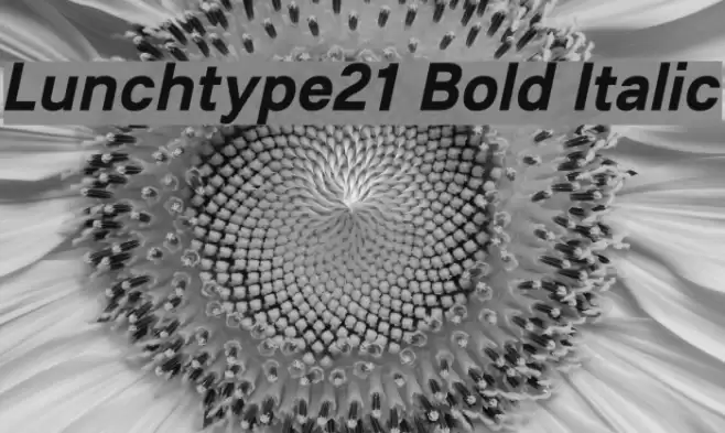 Lunchtype21 Bold Italic Font examples