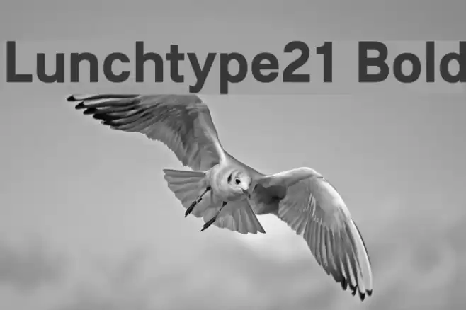 Lunchtype21 Bold Font examples