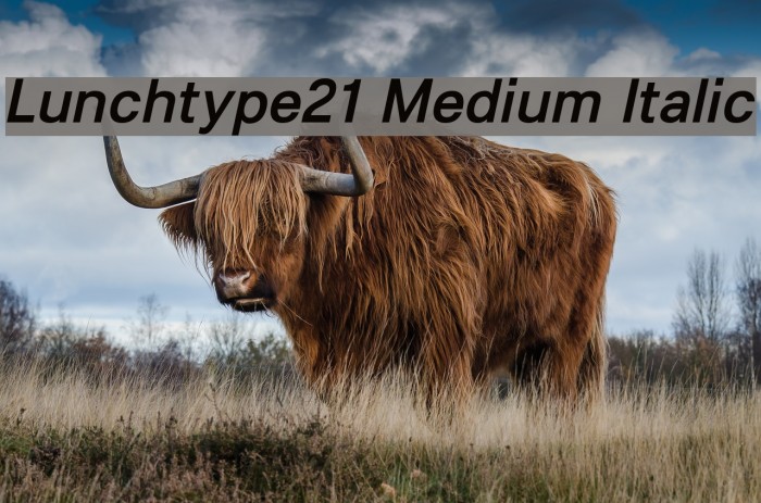 Lunchtype21 Medium Italic Font examples