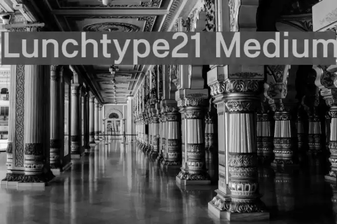 Lunchtype21 Medium Font examples