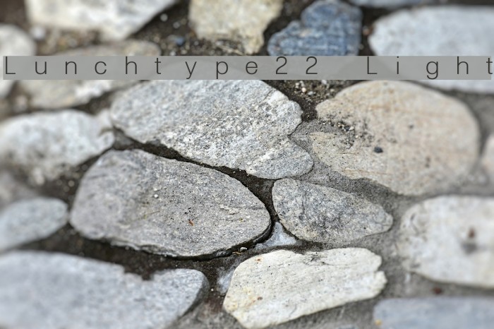 Lunchtype22 Light Font examples