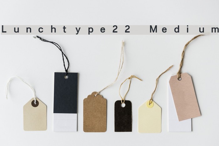 Lunchtype22 Medium Font examples