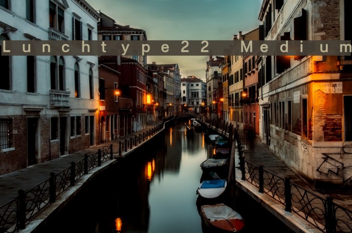 Lunchtype22 Medium Font examples