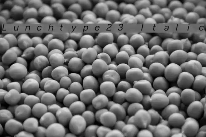 Lunchtype23 Italic Font examples