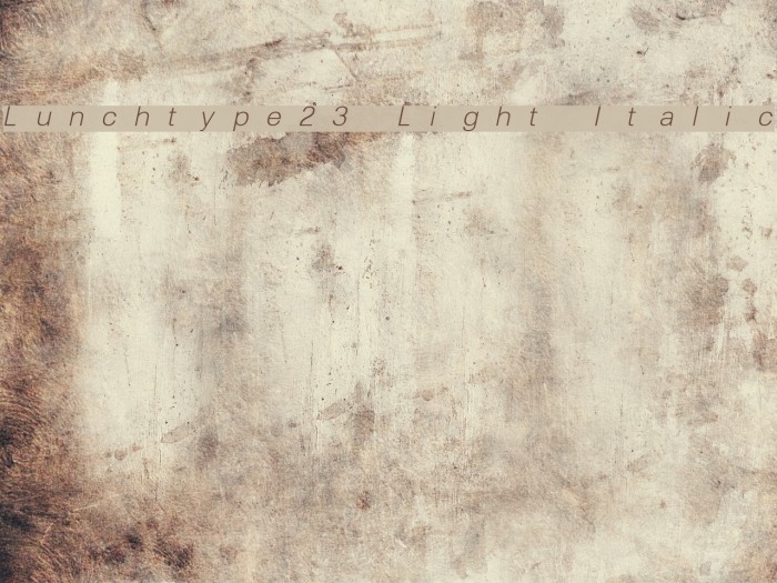 Lunchtype23 Light Italic Font examples