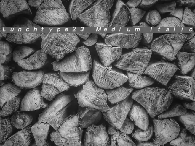 Lunchtype23 Medium Italic Font examples