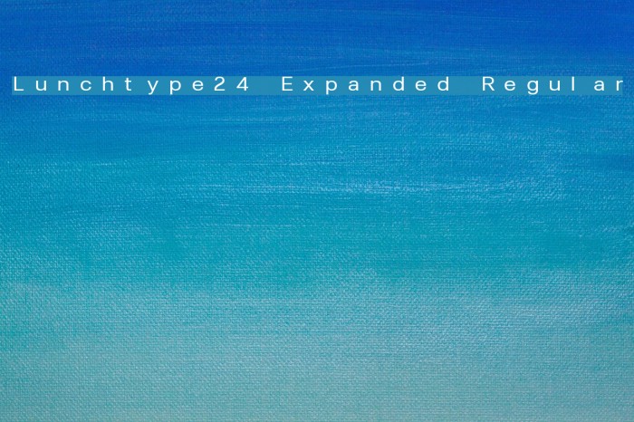 Lunchtype24 Expanded Regular Font examples