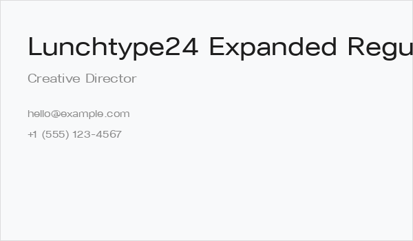 Lunchtype24 Expanded Regular Business Card
