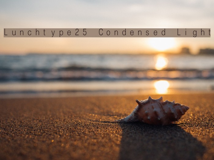 Lunchtype25 Condensed Light Font examples