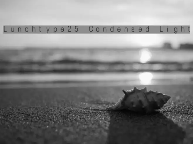 Lunchtype25 Condensed Light Example 1