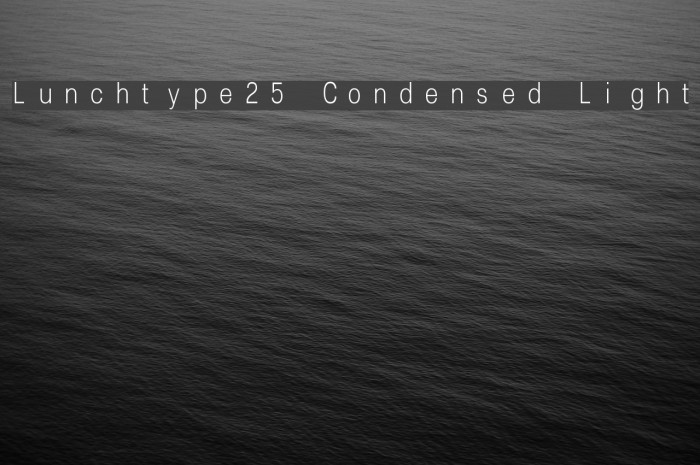 Lunchtype25 Condensed Light Font examples
