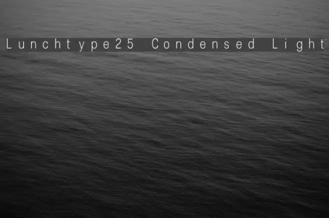 Lunchtype25 Condensed Light Example 2